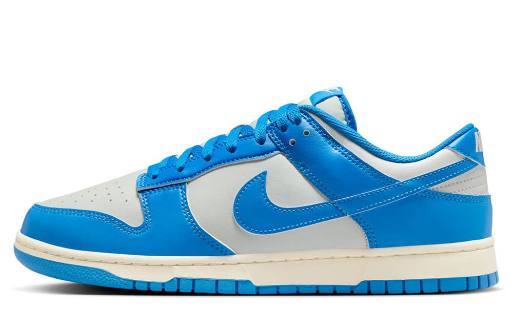 Nike Dunk Low Detroit Lions