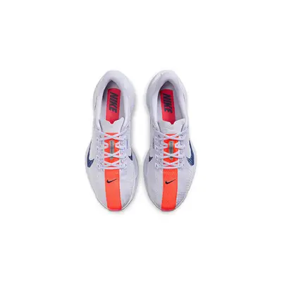 Nike Pegasus Plus Ghost Blue Void FQ7261-005 Top