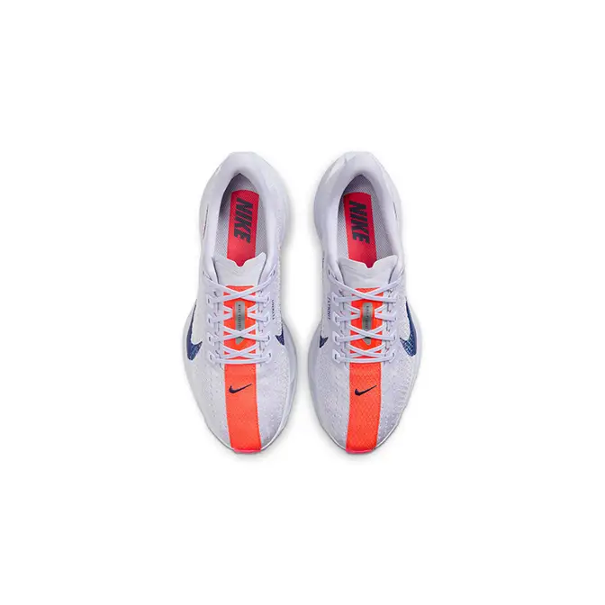 Nike Pegasus Plus Ghost Blue Void FQ7261-005 Top