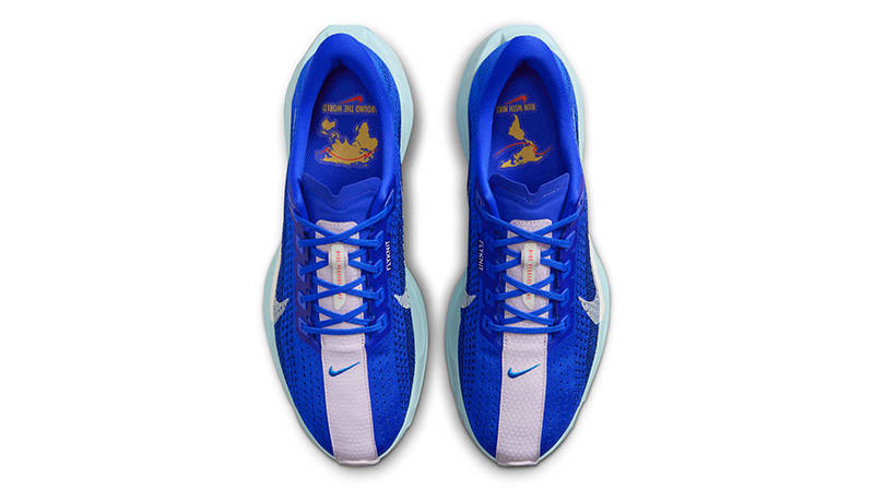 Nike Pegasus Plus Racer Blue HQ1719-400 Top