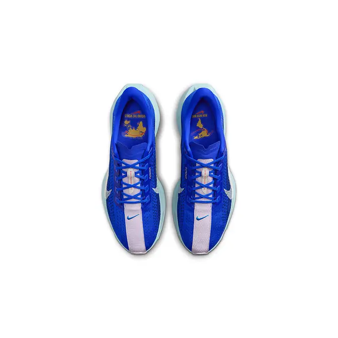 Nike Pegasus Plus Racer Blue HQ1719-400 Top