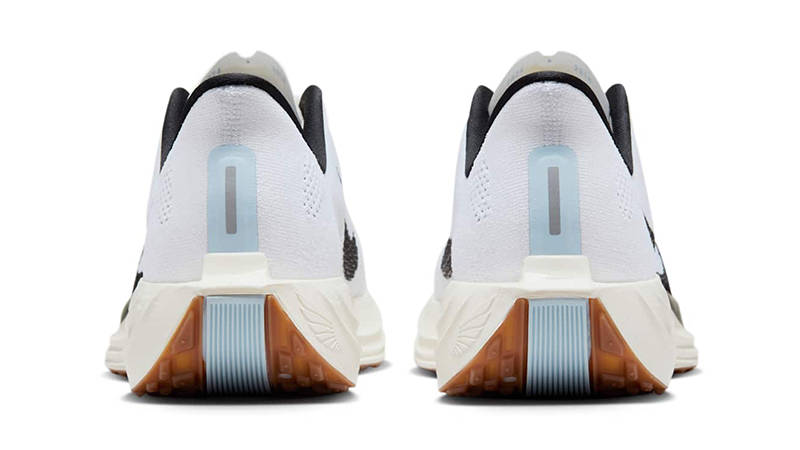 Nike Pegasus Plus White Sail Blue Tint FQ7262-101 Back