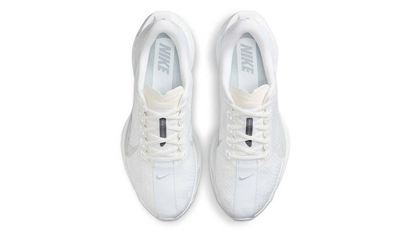 Nike Pegasus Plus White Wolf Grey FQ7261-101 Top