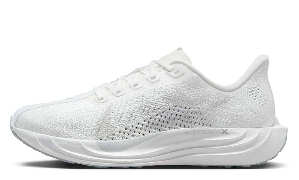 Nike Pegasus Plus White Wolf Grey FQ7261-101
