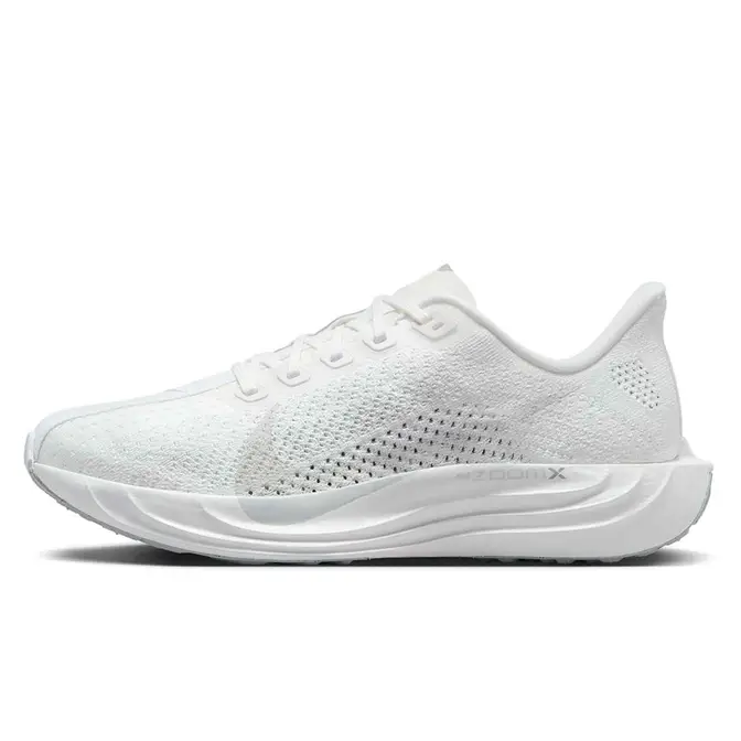 Nike Pegasus Plus White Wolf Grey FQ7261-101
