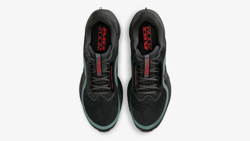 Nike Pegasus Premium Anthracite HQ2592-011 Top