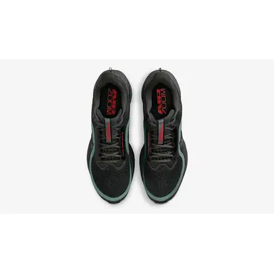 Nike Pegasus Premium Anthracite HQ2592-011 Top