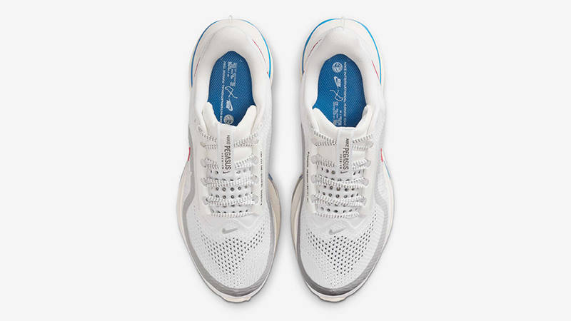 Nike Pegasus Premium Forrest Gump IH7347-111 Top