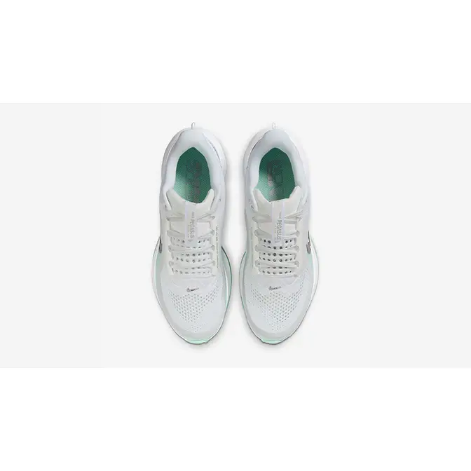 Nike Pegasus Premium Mint Foam HQ2593-103 middle