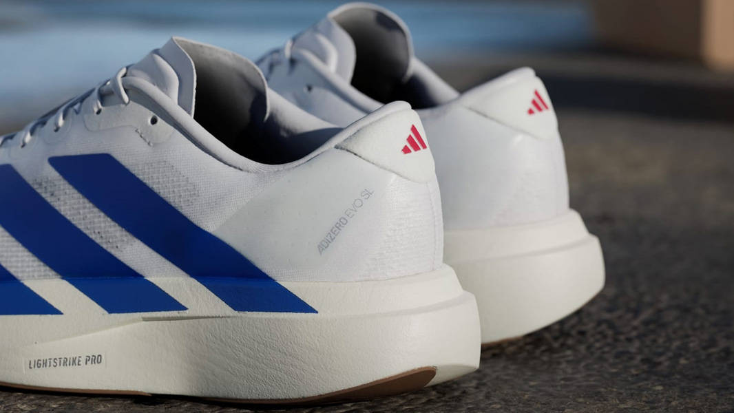 adidas Adizero EVO SL White Royal Blue Closeup