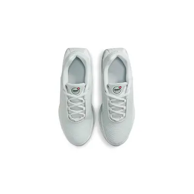 Nike Air Max Dn GS Photon Dust Seafoam FB8987-012 Top
