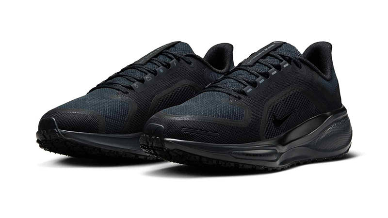 Nike Pegasus 41 GORE-TEX Black FQ1357-001 front