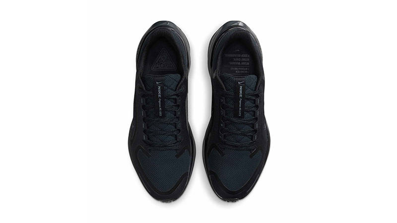 Nike Pegasus 41 GORE-TEX Black FQ1357-001 middle