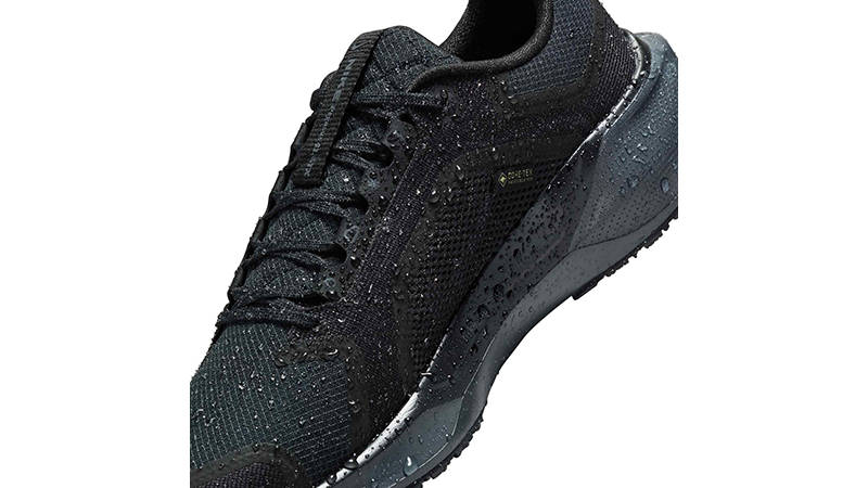 Nike Pegasus 41 GORE-TEX Black FQ1357-001 side