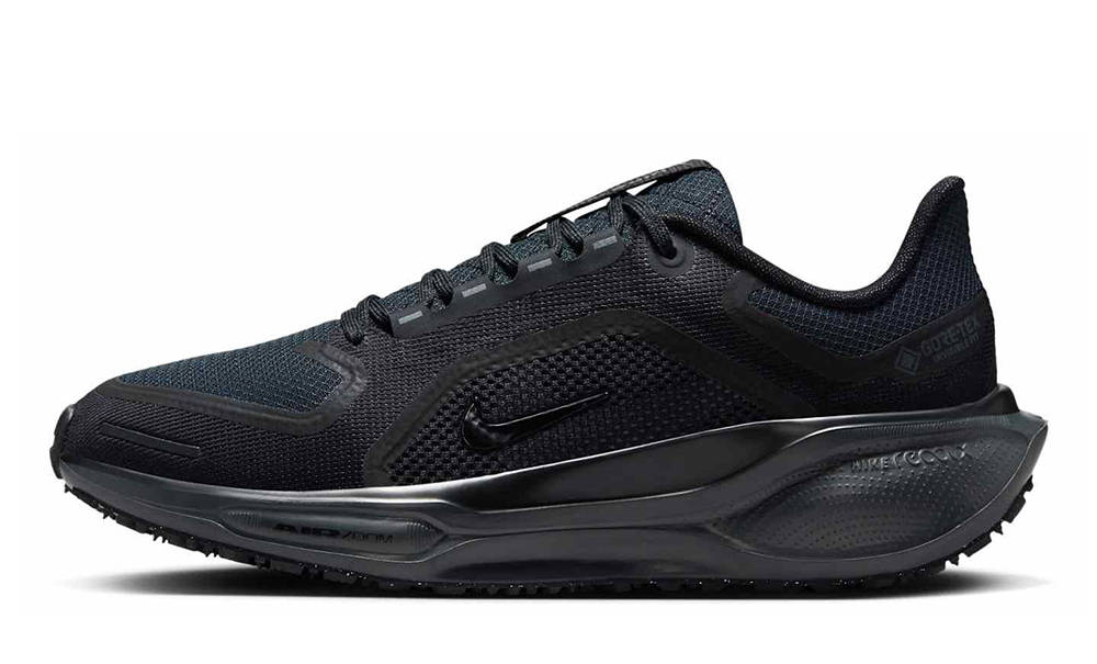 Nike Pegasus 41 GORE-TEX Black FQ1357-001