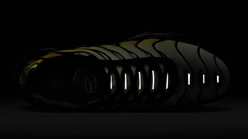 Nike TN Air Max Plus Black Bright Citron DM0032-023 in dark
