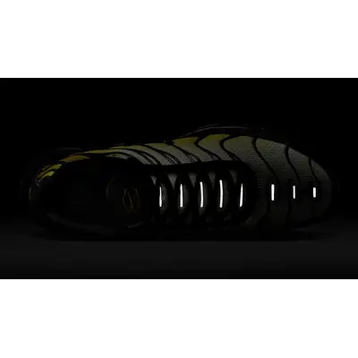 Nike TN Air Max Plus Black Bright Citron DM0032-023 in dark