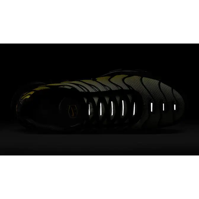 Nike TN Air Max Plus Black Bright Citron DM0032-023 in dark