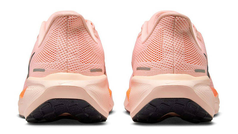 Nike Pegasus 41 Crimson Tint FD2722-801 back