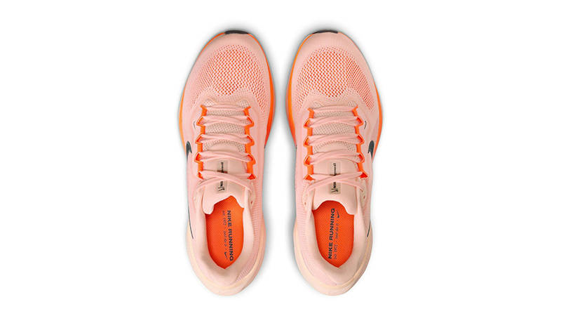 Nike Pegasus 41 Crimson Tint FD2722-801 middle