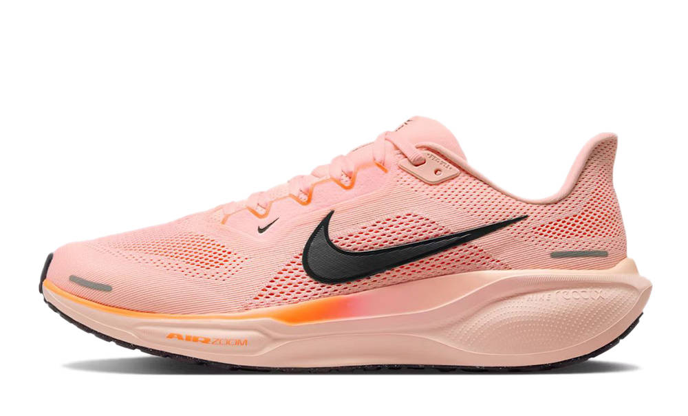 Nike Pegasus 41 Crimson Tint FD2722-801