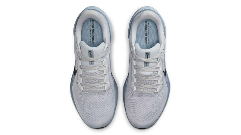 Nike Pegasus 41 Light Armoury Blue Extra Wide FN4932-007 Top