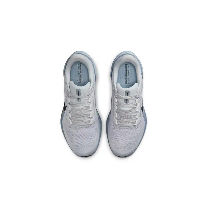 Nike Pegasus 41 Light Armoury Blue Extra Wide FN4932-007 Top