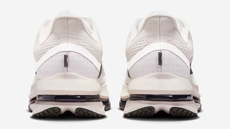Nike Pegasus Premium Run Platinum Tint IH2288-001 Back