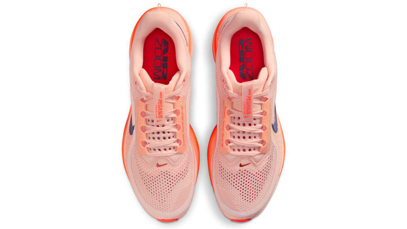 Nike Pegasus Premium Washed Coral Middle