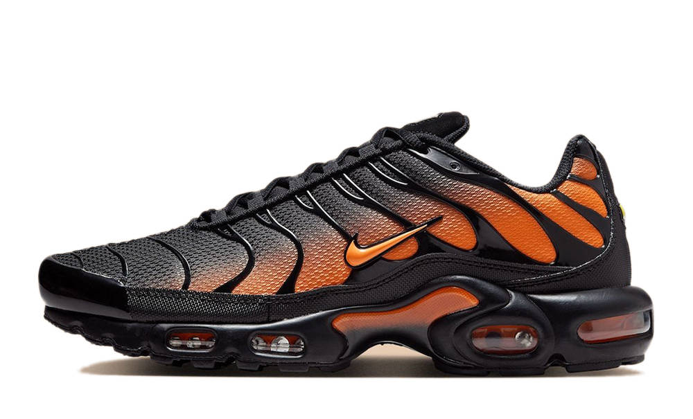 Nike TN Air Max Plus White/Gold 