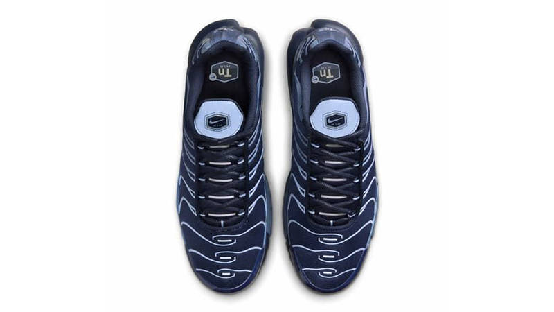 Nike TN Air Max Plus Obsidian Aluminum IM6601-451 middle