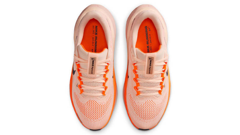Nike Pegasus 41 GS Crimson Tint Middle