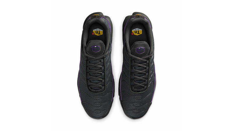 Nike TN Air Max Plus Iron Grey HV8066-001 middle