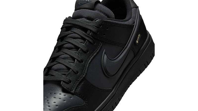 Nike Dunk Low Gore-Tex Triple Black HQ2053-001 heel