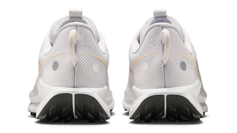 Nike Pegasus Trail 5 Vast Grey DV3865-009 Back