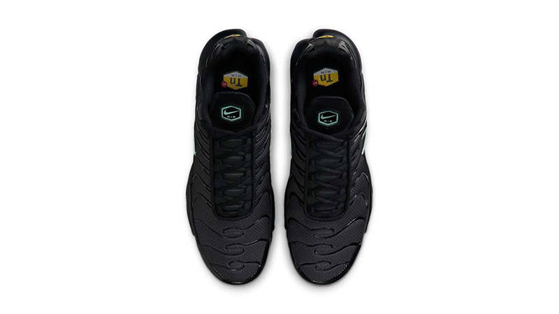Nike TN Air Max Plus Black Mint Green DM0032-029 middle