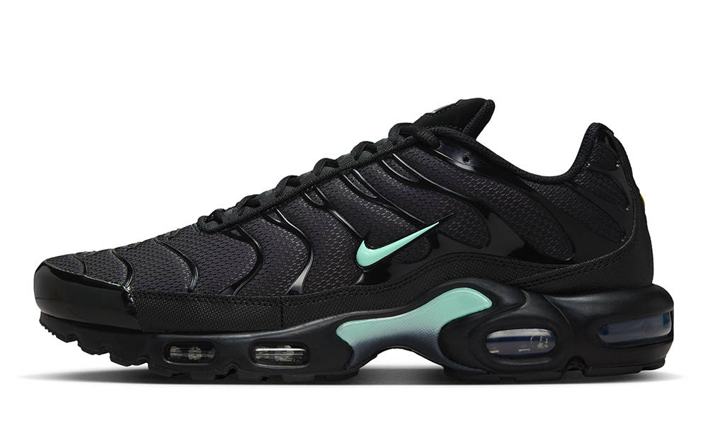 Nike TN Air Max Plus Black Mint Green DM0032-029