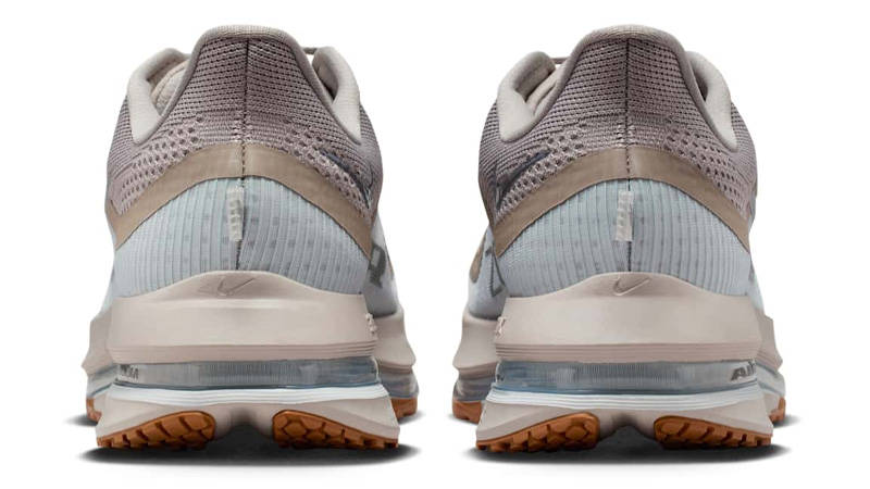 Nike Pegasus Premium College Grey Back