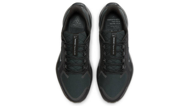 Nike Air Zoom Pegasus 41 Gore-Tex Black Middle