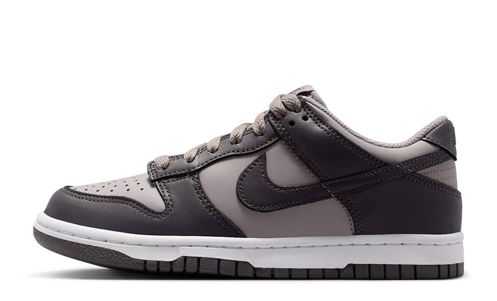 Nike Dunk Low GS Vapour Mauve FB9109-203