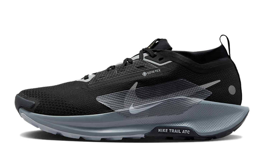 Nike React Pegasus Trail 5 Gore-Tex Black Wolf Grey FQ0908-001