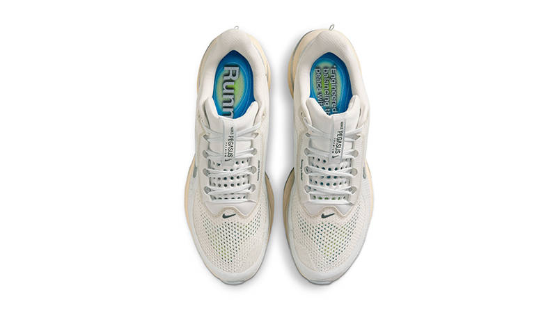Nike Pegasus Premium Running Is Mental IQ0307-094 middle