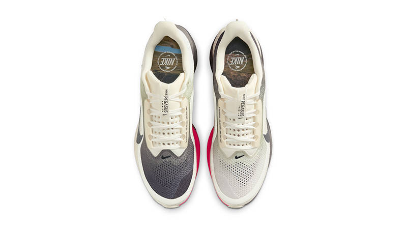 Nike Pegasus Premium Year of the Horse Sail IQ1130-001 middle