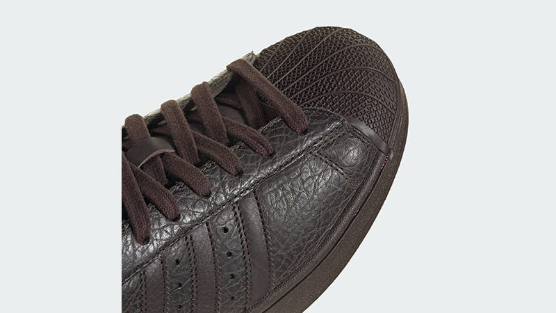 adidas Superstar Dark Brown HQ2365 toe