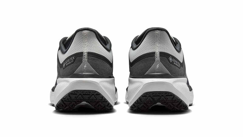 Nike Pegasus 41 GORE-TEX Anthracite Iron Grey FQ1356-002 back