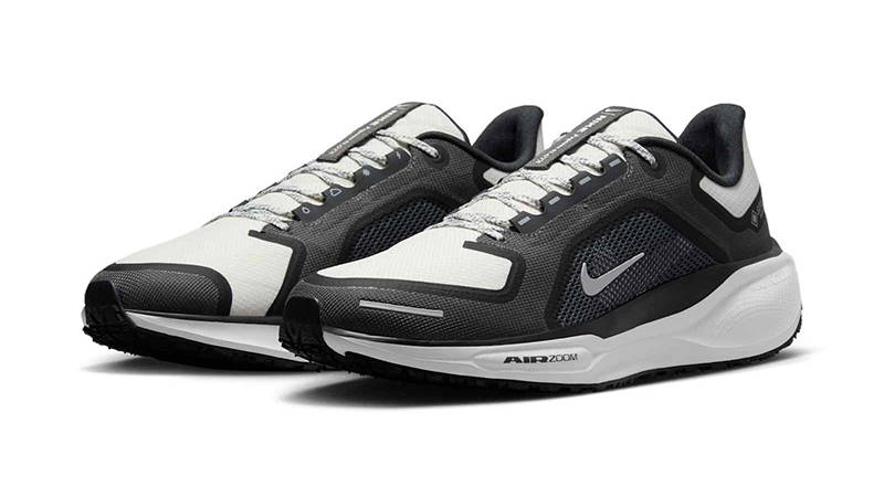 Nike Pegasus 41 GORE-TEX Anthracite Iron Grey FQ1356-002 front