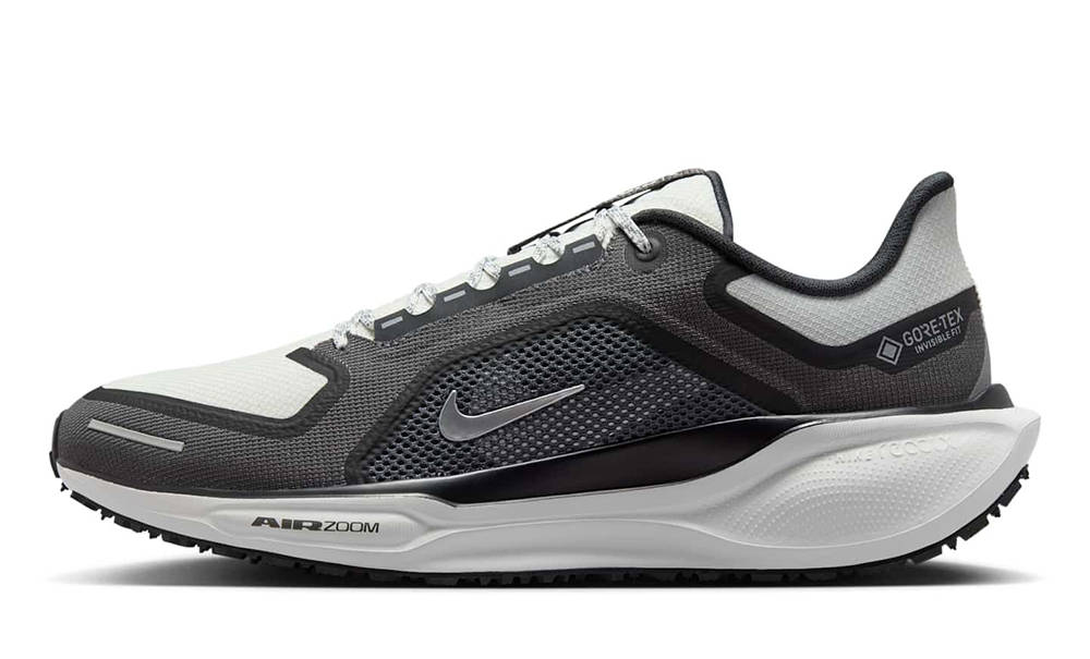 Nike Pegasus 41 GORE-TEX Anthracite Iron Grey FQ1356-002