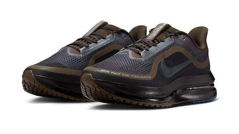 Nike Pegasus Premium Our Pace Our Vib(e)ration Black Hazelnut IQ3435-045 front
