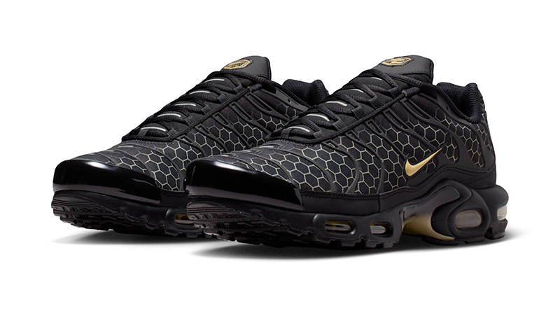 Nike TN Air Max Plus Black Honey IQ0287-010 front