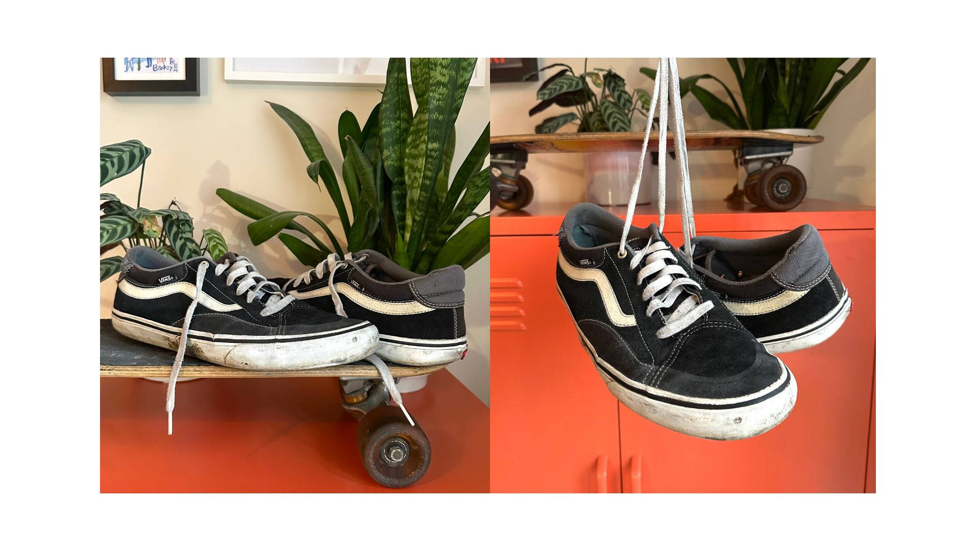 worn pair of Vans against locker and plant backdrop hanging from shoe laces shot side by side